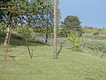 DSCN0084.JPG