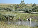 DSCN0085.JPG